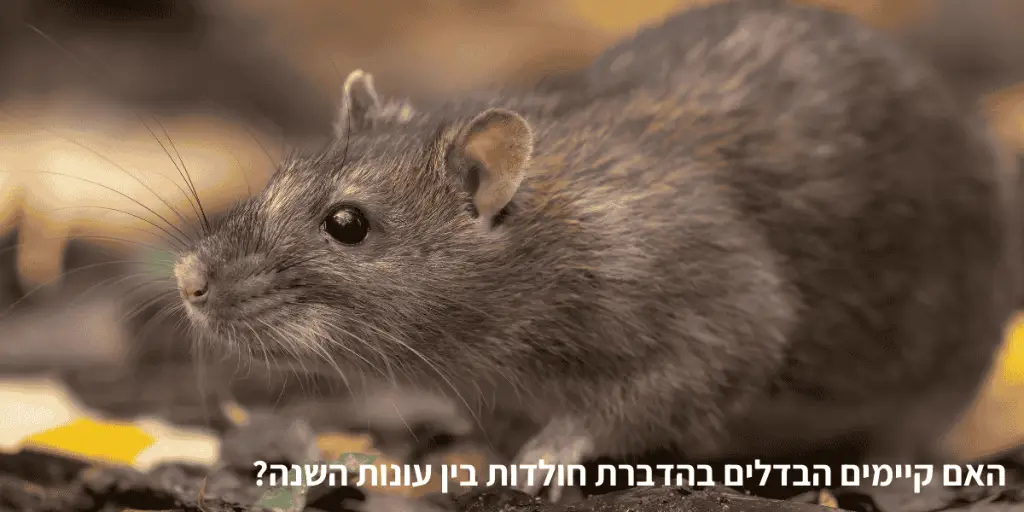הבדלי הדברה בין עונות