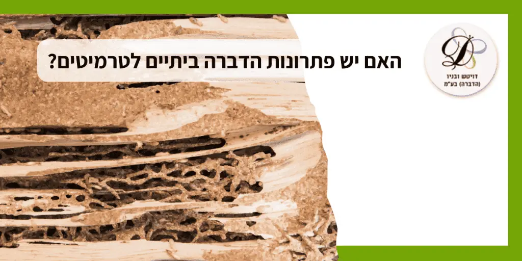 האם יש פתרונות הדברה ביתיים לטרמיטים?