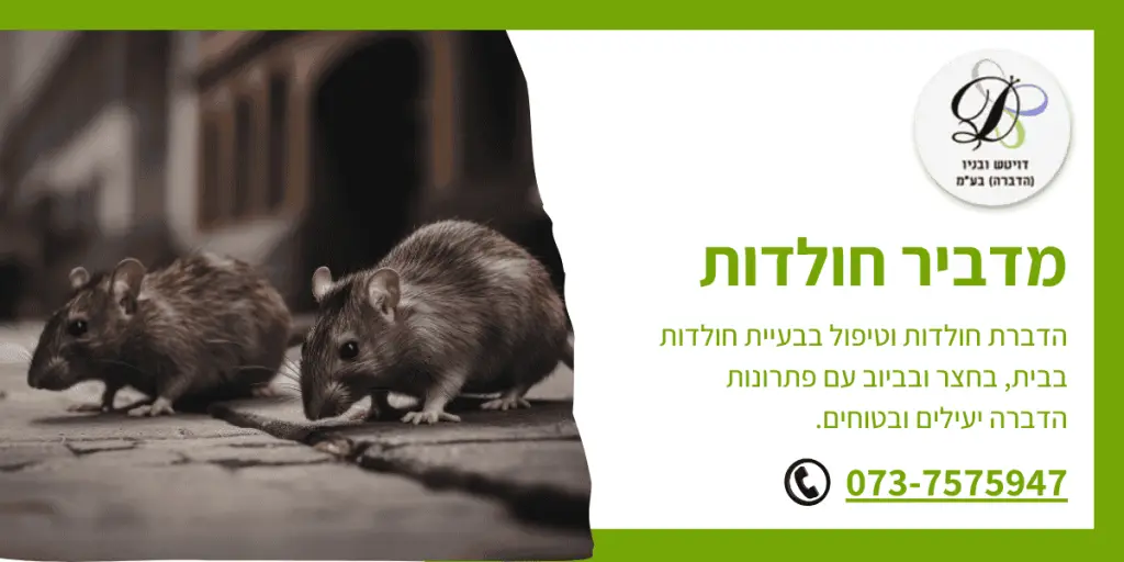 מדביר חולדות