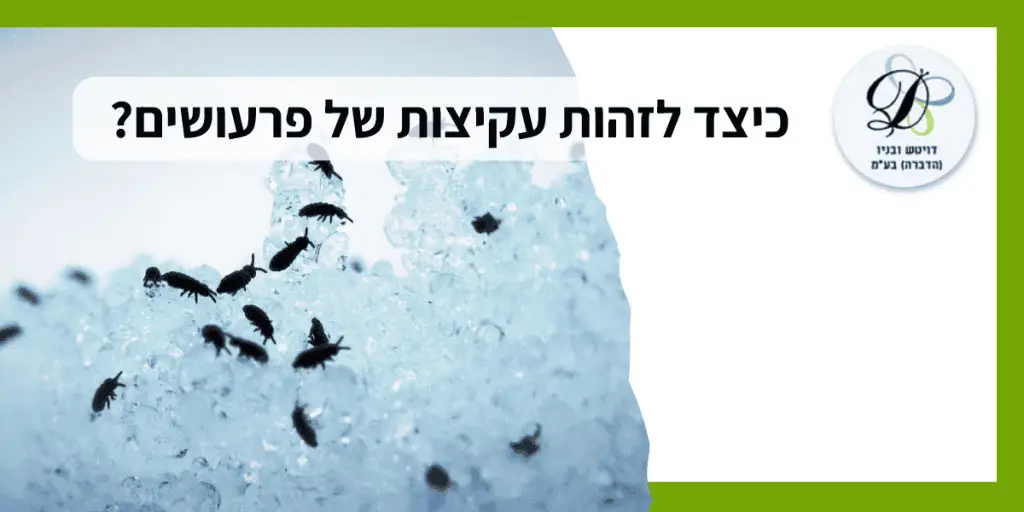 כיצד לזהות עקיצות של פרעושים